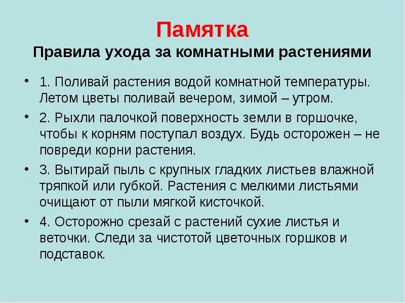 Памятка по уходу за комнатными растениями. Инструкция как ухаживать за цветами. Памятка уход за растениями. Составить памятку по уходу за растениями.. Составить текст инструкции