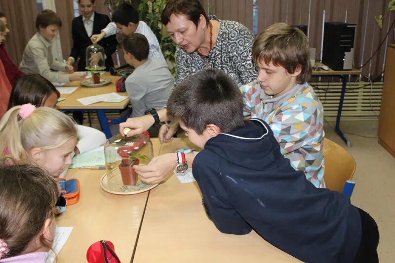 Социально кружок в школе. Школьный кружок. Кружки в школе. Кружки для детей занятия. Кружки дополнительного образования.