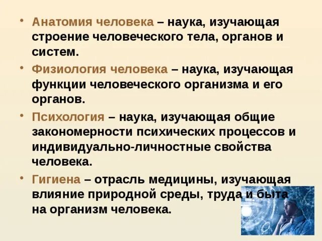 Какая наука изучает труд. Анатомия это наука. Наука изучающая функции организма и его органов. Науки о человеке. Что изучает анатомия кратко.