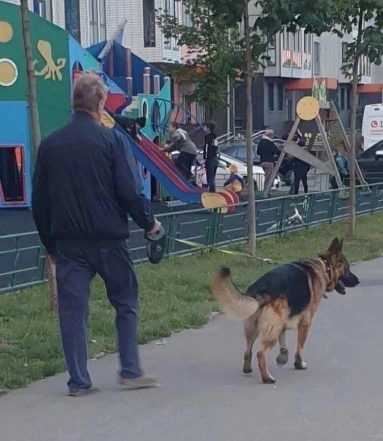 Нападение хозяин. Полицейский с собакой. Овчарка девочка.