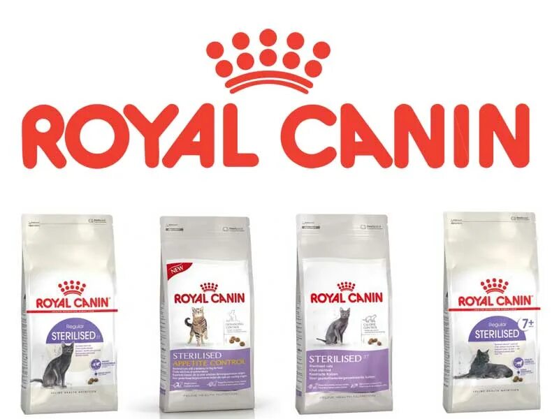 Royal Canin сухой корм Mini Sterilised. Royal Canin Indoor Sterilised 7. Royal Canin корм лого. Роял Канин реклама с собаками.