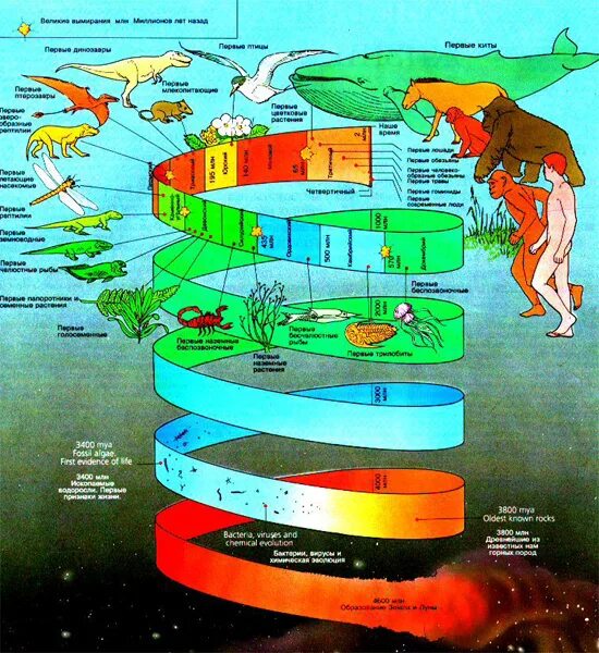 История земли в картинках История Земли Painting, Art, Biology