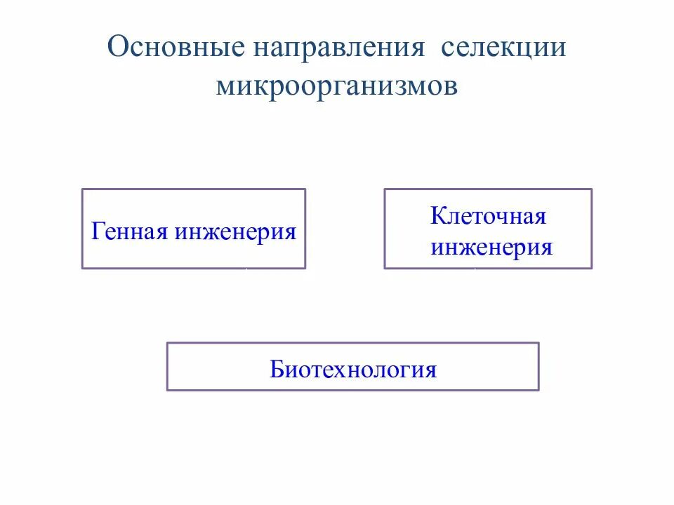 Направления селекции животных. Основные направления селекции. основные направления селекции микроорганизмов. направления современной селекции. основные цели селекции микроорганизмов.