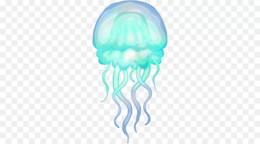 Тату медуза. Медуза marivagia. Буквам - медуза. Буква медуза. J is for jellyfish.
