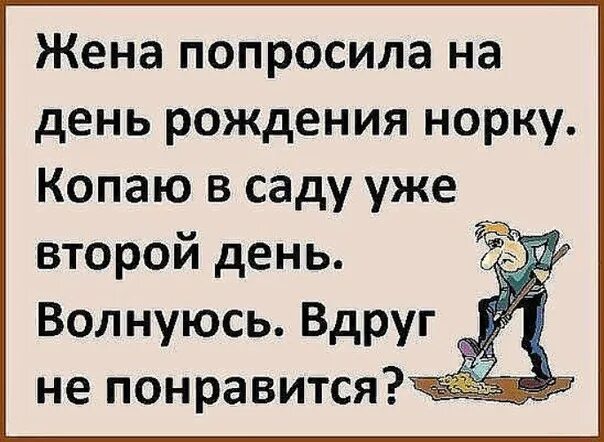 Жена попросила на день рождения норку копаю. Шутки про норку. Анекдот про день рождения жены. Жена попросила норку. Жена просит потолще