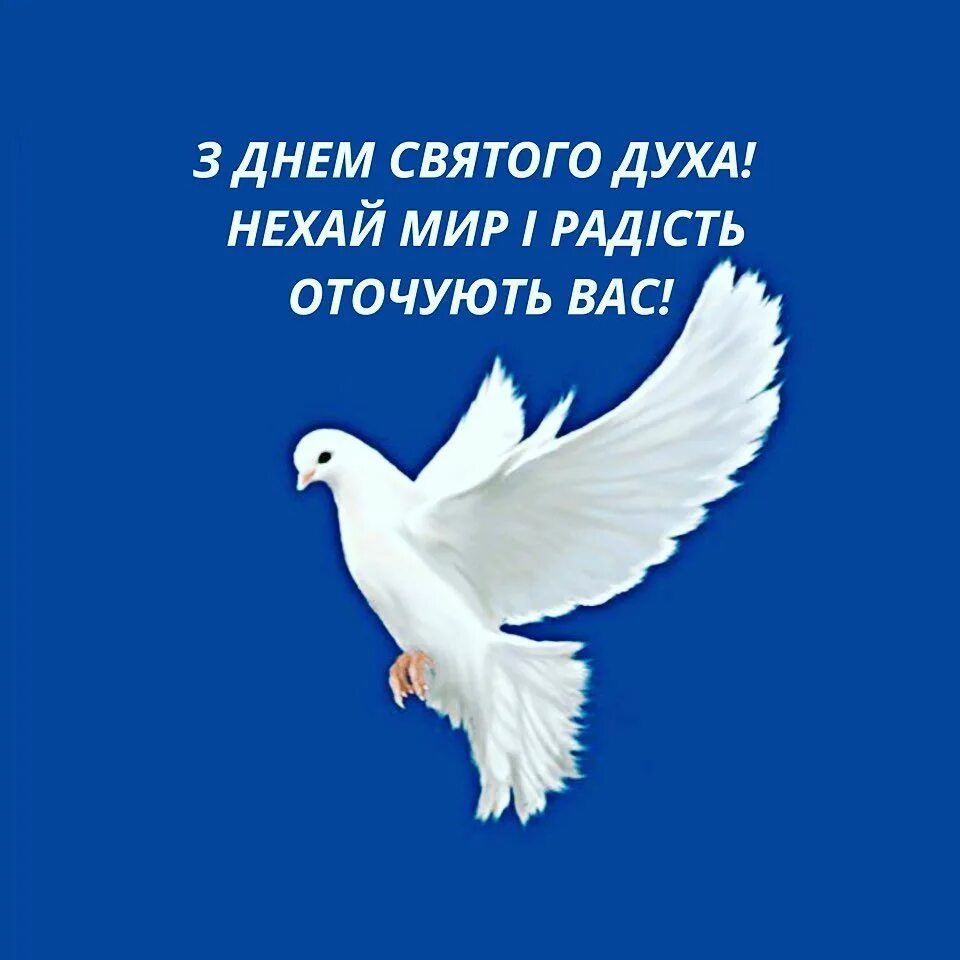 Доброе утро с днем святого духа. С днем святого духа. с днем святого духа поздравления. с днем святого духа открытки. святой дух поздравления.