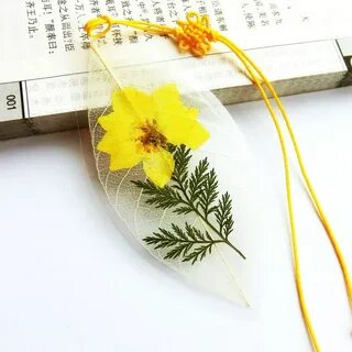Прозрачные закладки