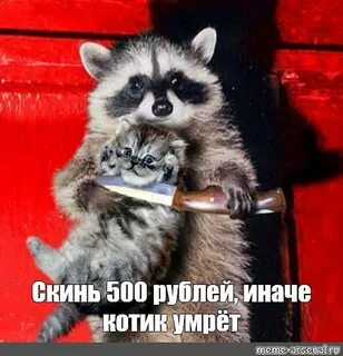 Скинь деньги пушистик