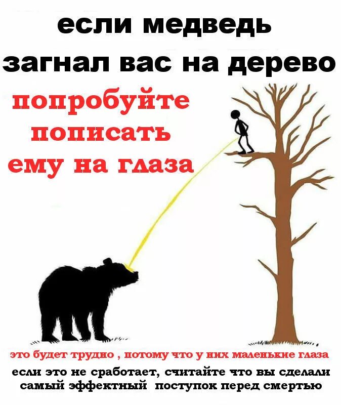 Пришел пописать. Что делать если встретил медведя. Если встретил медведя в лесу прикол. Что делать если напал медведь в лесу. Медведь загнал на дерево.