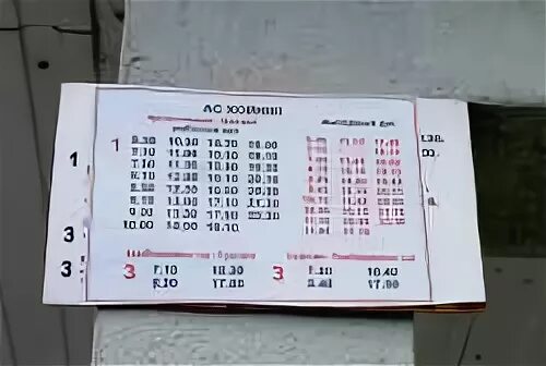 Расписание хойники