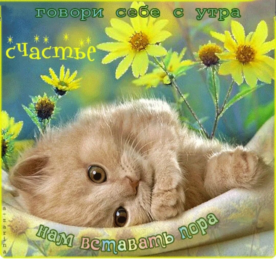 Картинки с пожеланием доброго утра с котиком