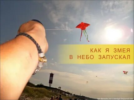 Куда запускать