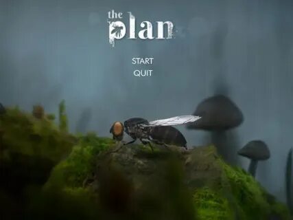 The plan