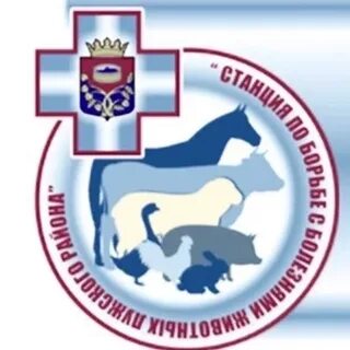 Ветклиника луга