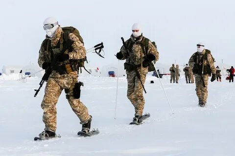 Арктический воин