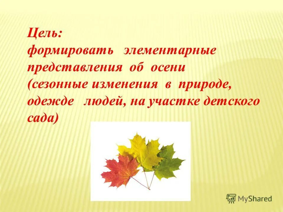 Какова связь между сезонными изменениями и ростом. Сезонные изменения осенью для дошкольников. Сезонные изменения в природе осенью для дошкольников. Осенние сезонные изменения осени. Задания детям сезонные изменения осенью.