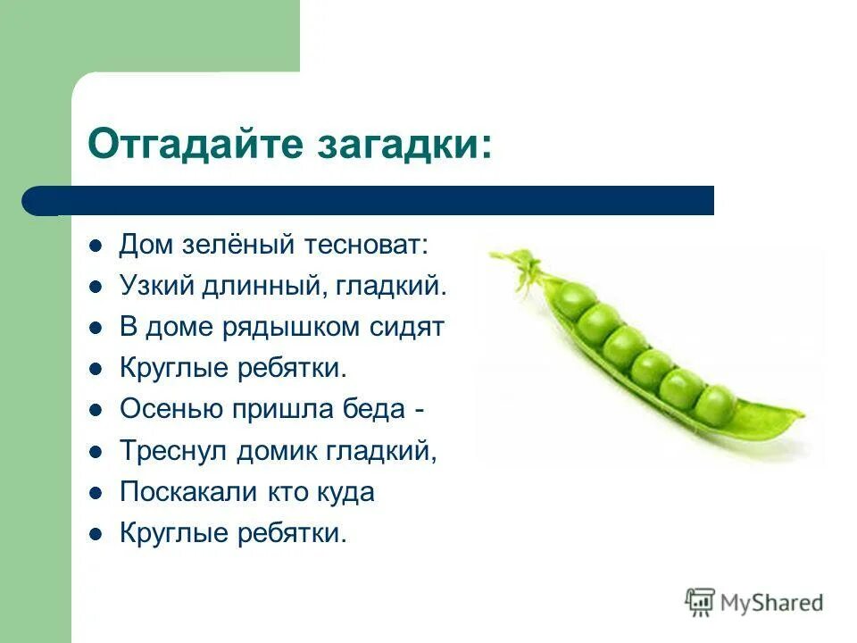 загадка зелена а не луг. зелёный круг сто скамеек вокруг от ворот до ворот бойко бегает народ. загадки. отгадай зеленый. отгадай зеленый.