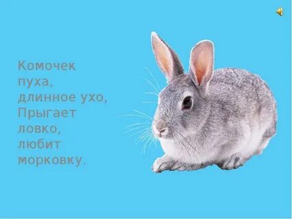 Заяц загадка для детей
