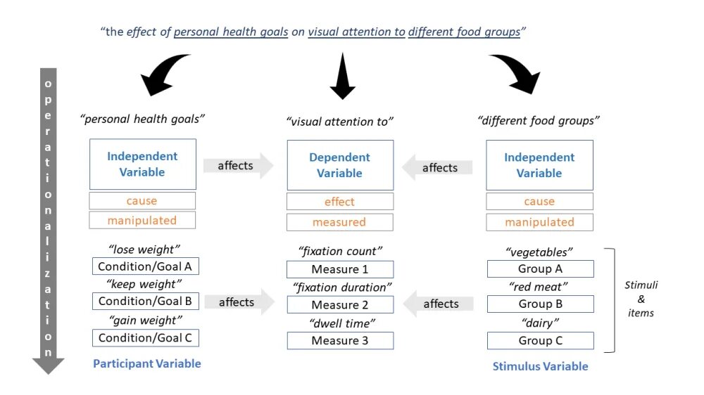 Condition variable. What is independent variable. Independent variable example. Control variable independent variable and dependent variable. What are the dependent and independent variables.