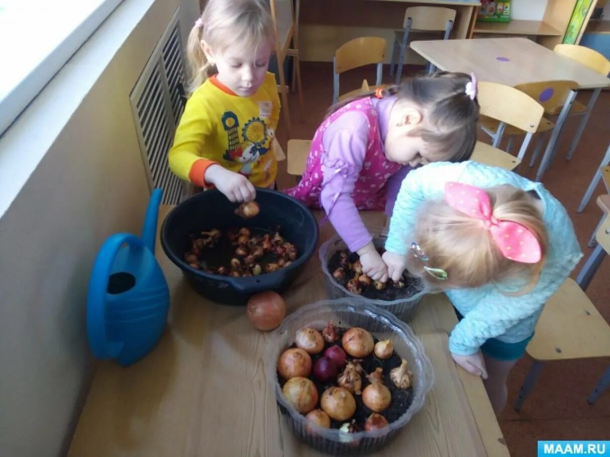 Дети в саду сажают лук. Дети сажают лук в детском саду средняя группа.