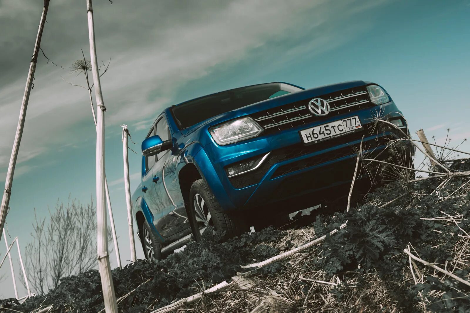 Цодд амарок. Амарок животное. Песня амарок стар поп. Реклама volkswagen amarok. Амарок 2024.