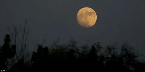 Луна яркая и точно мокрая