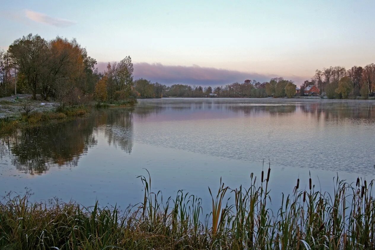 Город чехов водоем. Набережная в богородицке тульской области. Парк воронцово москва каскад прудов. Водоем городе. Пруд в городе.