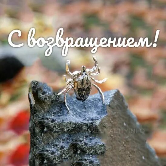 Послезавтра новый клещ Валера вернется на свое старое место. 15 июня в 13:00 про