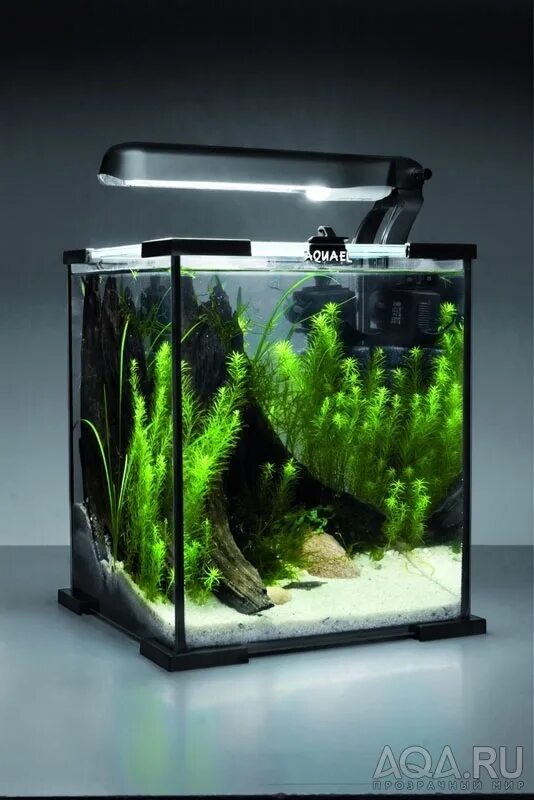 Aquael shrimp set smart led plant ll 10. Аквариум aquael 10 литров. Аквариум aquael 30 литров куб. Aquael nano cool. Аквариум акваэль куб 30 литров.
