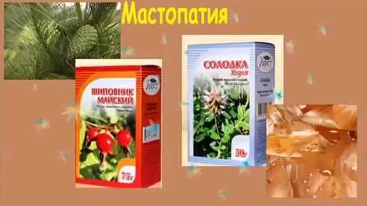 Мастопатия лечим народными средствами. Мастопатия лечим народными средствами. Мастопатия лечим народными средствами. Лист капусты при мастопатии. Сбор при мастопатии по караваеву.