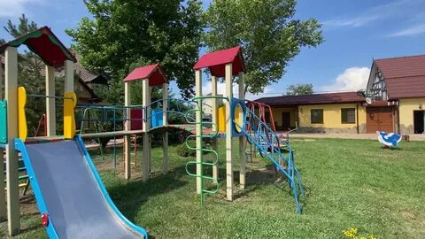 Тюльпан витязево
