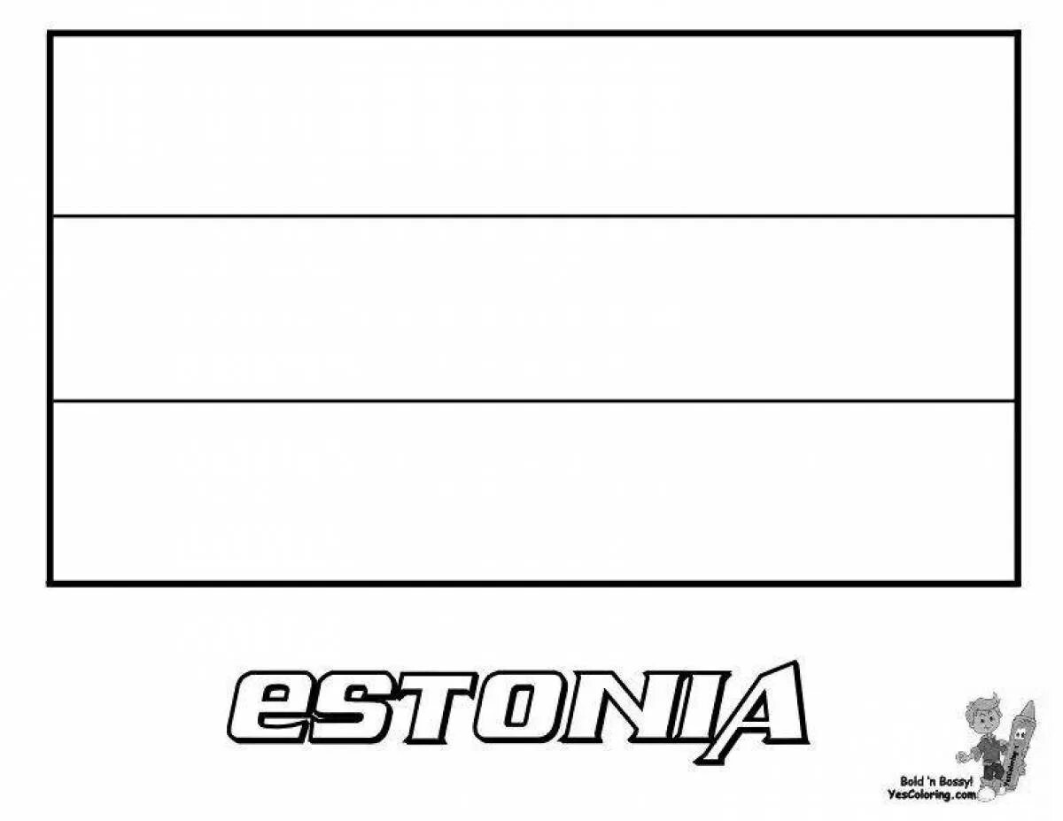 Флаг раскраска. Флаги мира для детей раскраски. Раскраска флаг распечатать. Флаг сша черно-белый. Российский флаг раскраска для детей.