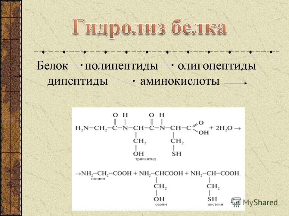 Синтезирующийся полипептид