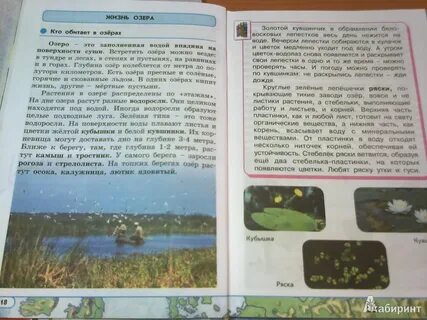 Окружающий мир 4 класс стр 163
