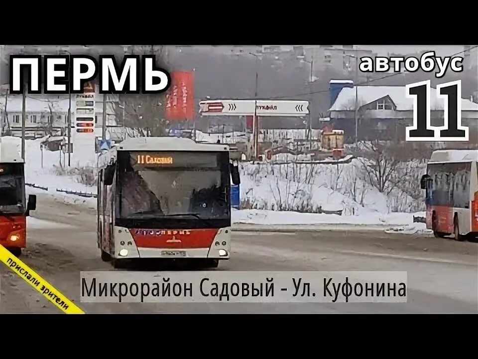 11 Автобус Пермь. 55 Автобус Пермь. Автобус 11 Пермь микрорайон садовый-улица Куфонина. 39 Автобус Пермь.
