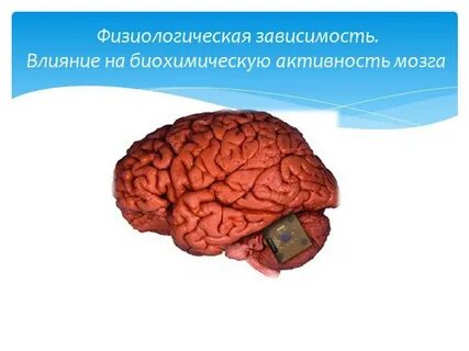 Виды физиологической зависимости