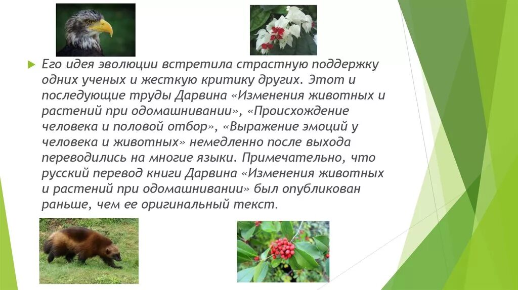 Растения число особей. «изменения животных и растений при одомашнивании». дарвин изменчивость животных и растений при одомашнивании. г дарвин растения и животные. происхождение человека и половой отбор оригинал.