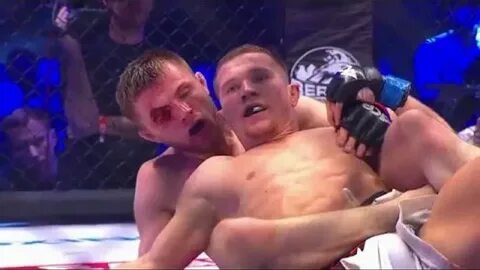 Бои магомеда магомедова видео