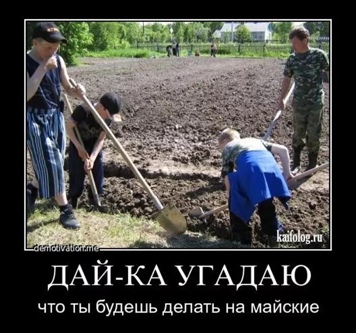 Отдыхайте говорили они. Пахать огород. Отдыхайте говорили они. Отдыхайте говорили они. Горы смешно.