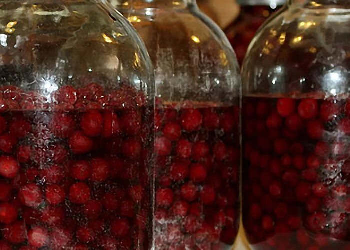 Брага из ягод. Брага из ягод. Белые пятна на браге из вишни. But вишневая. Брага с косточками.