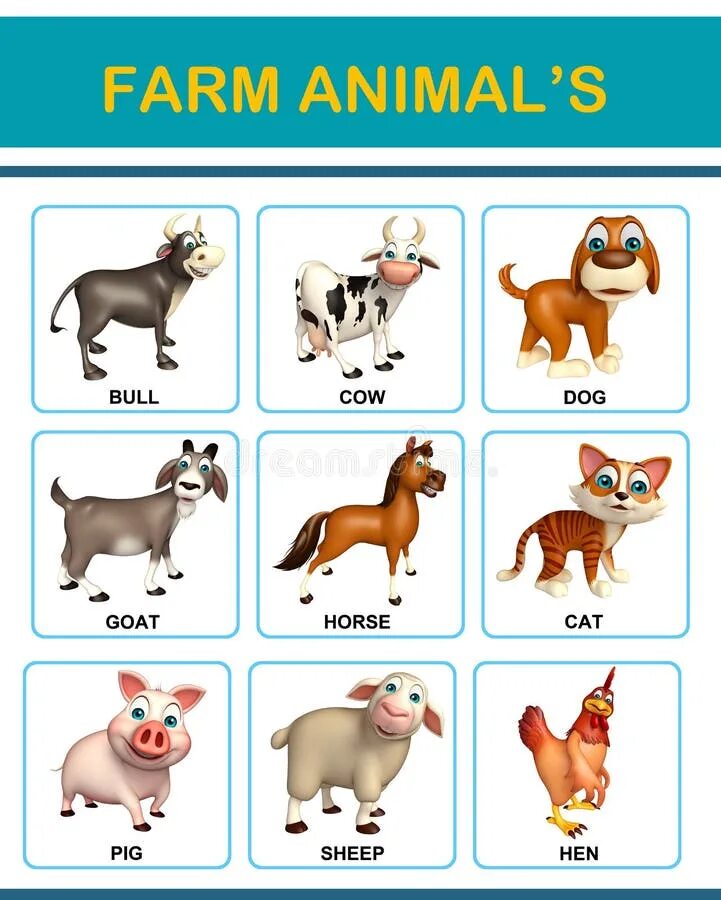 Pig and hen. Hen dog cat. Кошка и собака на белом фоне. Hen dog cat. Hen dog cat.