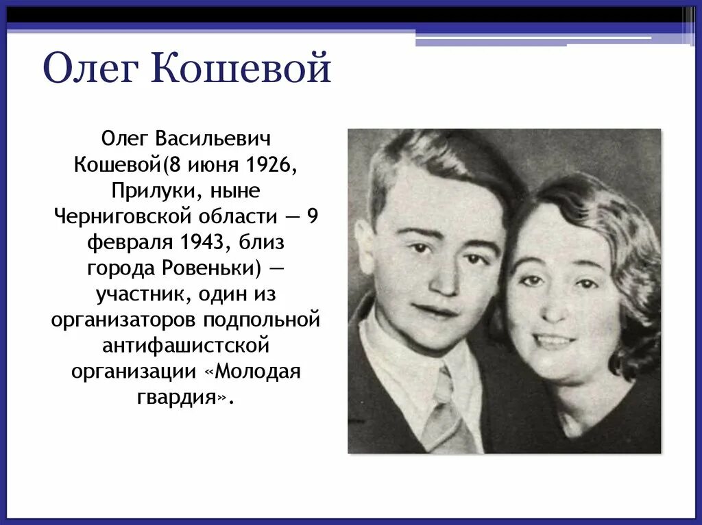 Цитаты кошевого
