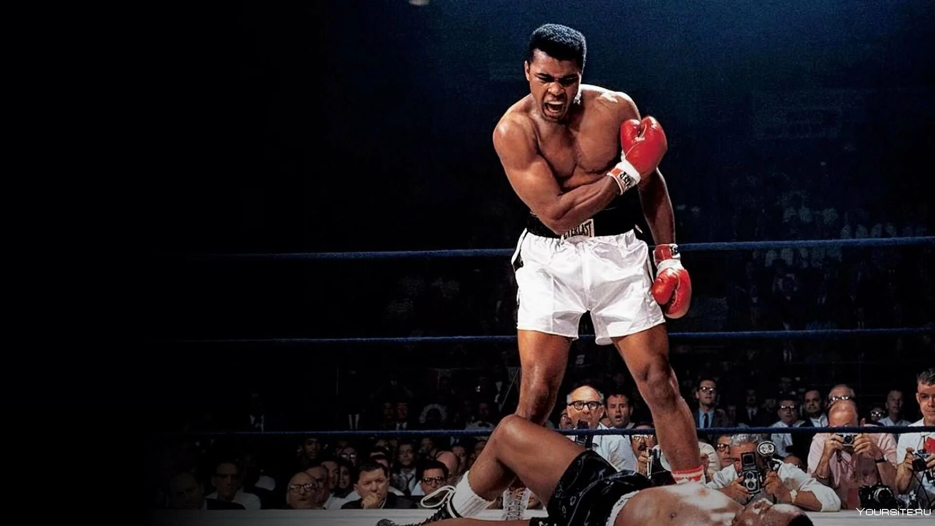 Palach 17 независимый. Сурен джулакян. Ali gian. Ali gian. Ali gian.