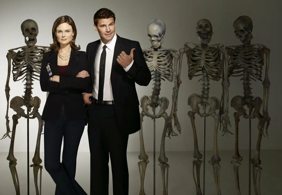 Голодные кости. Кости бут и Кэм. Emily Deschanel Bones.. Bones кости.