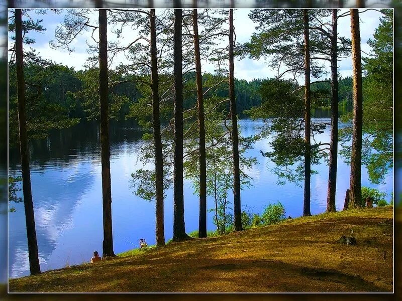 План лагеря зеркальный. Белянское озеро ленинградская область. Зеркальный лагерь территория. Зеркальные озера в псковской. Зеркальный как добраться.