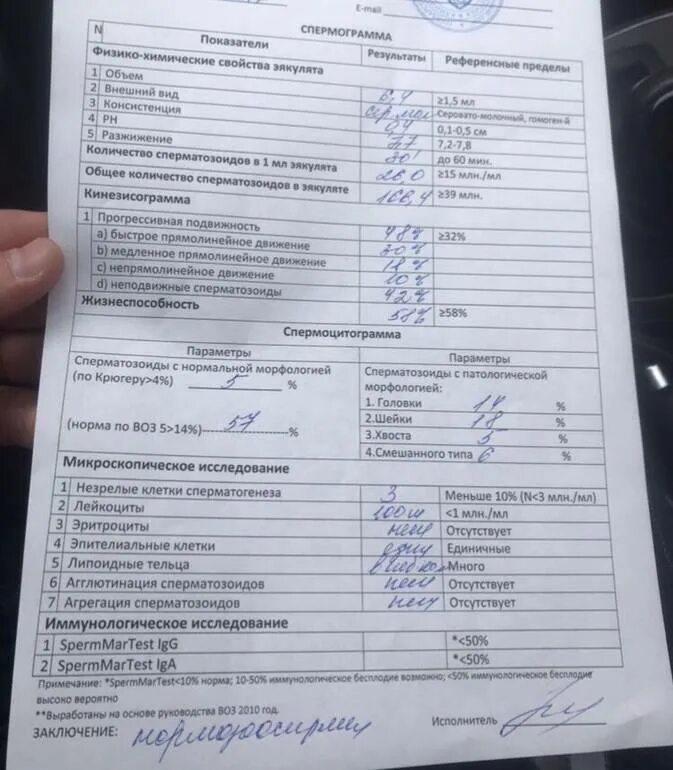 Днк спермограмма сдать. Нормы mar-тест спермограммы. мар тест спермограмма расшифровка. спермограмма по крюгеру и мар тест. норма мар теста спермограммы.