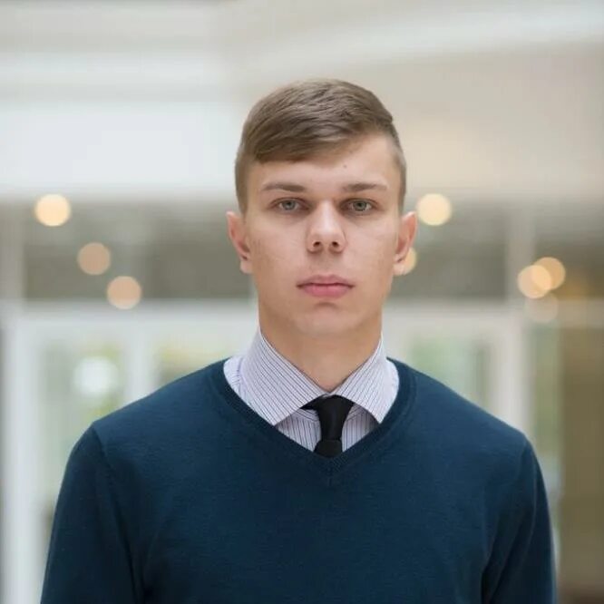 Дмитрий Корнеев, Винсады
