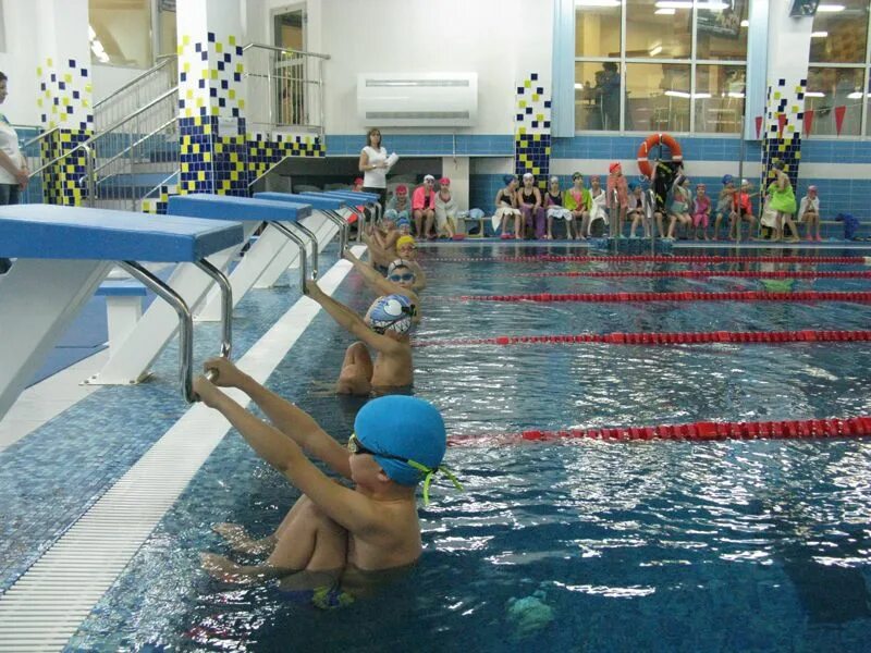 Бассейн самбо 70. Бассейн самбо 70 теплый стан. Бассейн самбо. Самбо 70 юность бассейн. Бассейн самбо 70 теплый стан.