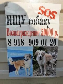 Объявление решала