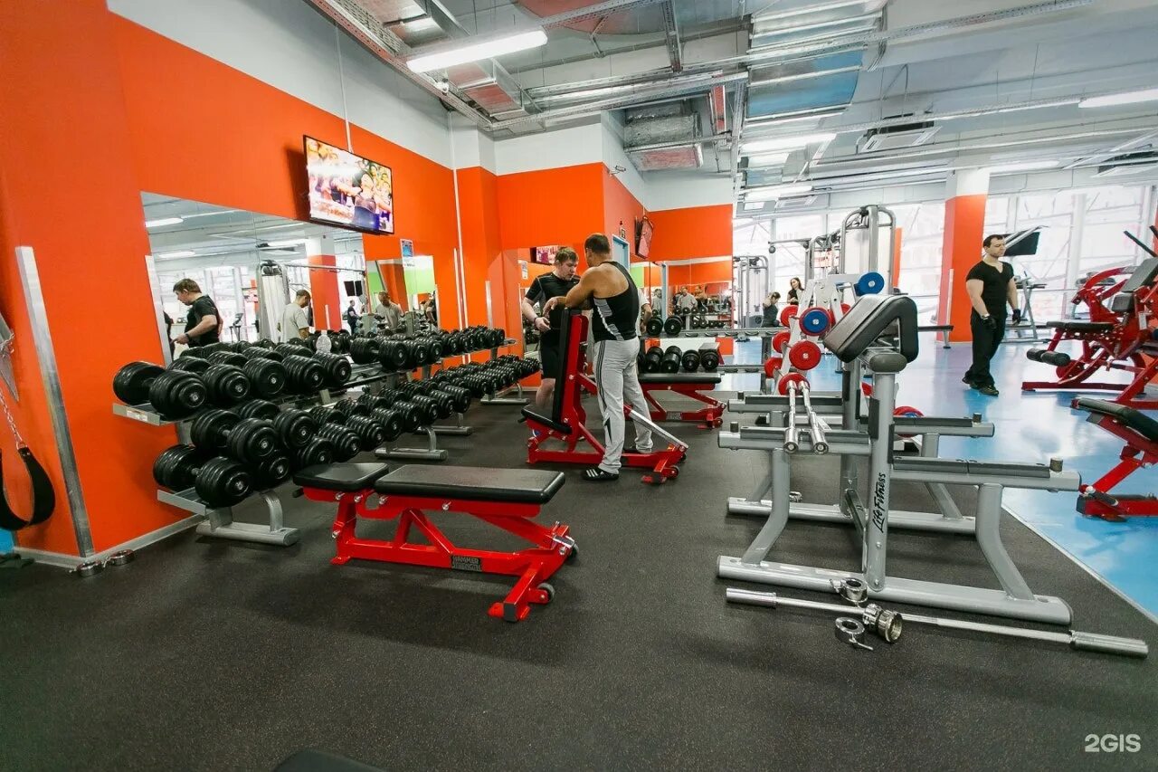 Drive fitness тюмень фаворит. Тренажерный зал атлетик джим тюмень. Тюмень фитнес тренажерные залы. Тюмень улица федюнинского 67 drive fitness. Тренажерный зал тюмень.